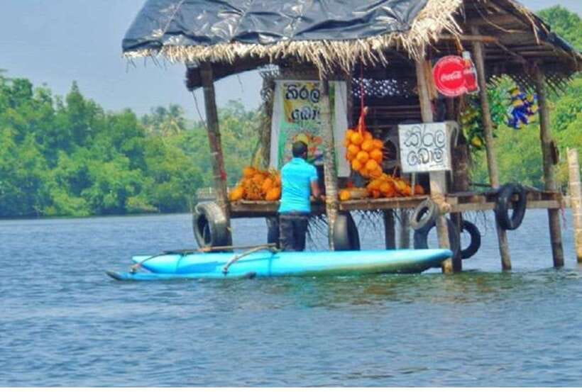 From Bentota: Exclusive Madu River Safari & Turtle Hatchery - What the $65 price really buys you