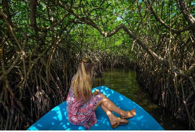From Bentota: Exclusive Madu River Safari & Turtle Hatchery - Comfort, flexibility, and what is included