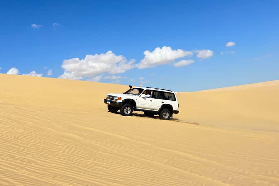 From Cairo: Desert Safari, Camel Ride, Magic Lake, & Lunch - Why this Faiyum day trip is worth considering