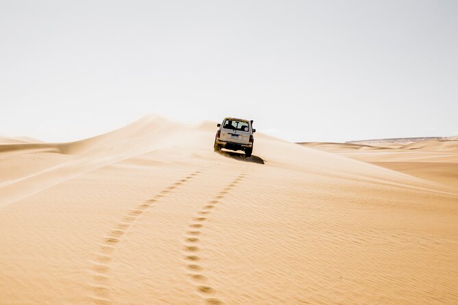 From Cairo: Desert Safari, Waterfalls, Sand boarding and Camel ride with Lunch - Key points to know before booking