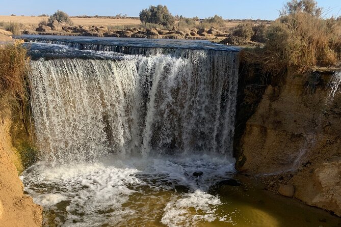 From Cairo: Desert Safari, Waterfalls, Sand boarding and Camel ride with Lunch - Who will enjoy this desert safari?