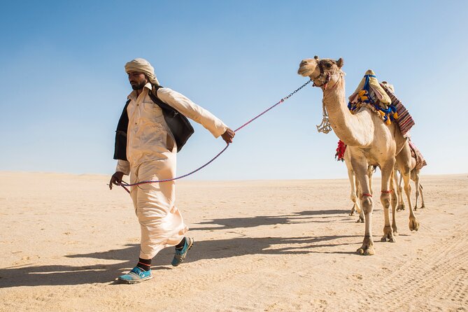 From Cairo: Desert Safari, Waterfalls, Sand boarding and Camel ride with Lunch - Wadi El Rayan waterfalls and lake views