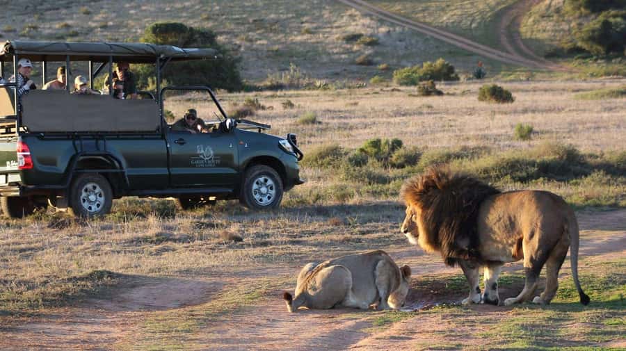 From Cape Town: 2-Day Safari at Garden Route Game Lodge - Cape Agulhas marks the southernmost tip