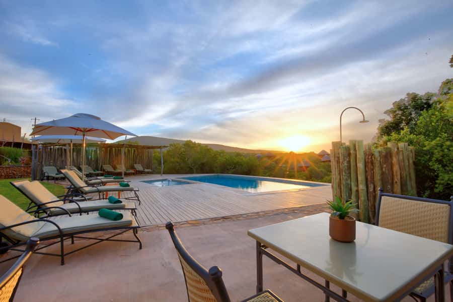 From Cape Town: 2-Day Safari at Garden Route Game Lodge - Dinner brings the group together