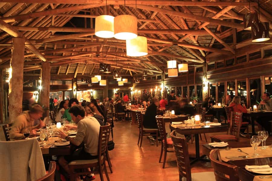 From Cape Town: 2-Day Safari at Garden Route Game Lodge - What the $533 price really buys
