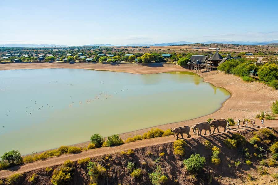 From Cape Town: 3-Day Garden Route Highlights and 4x4 Safari - Why this three-day trip works for a short visit