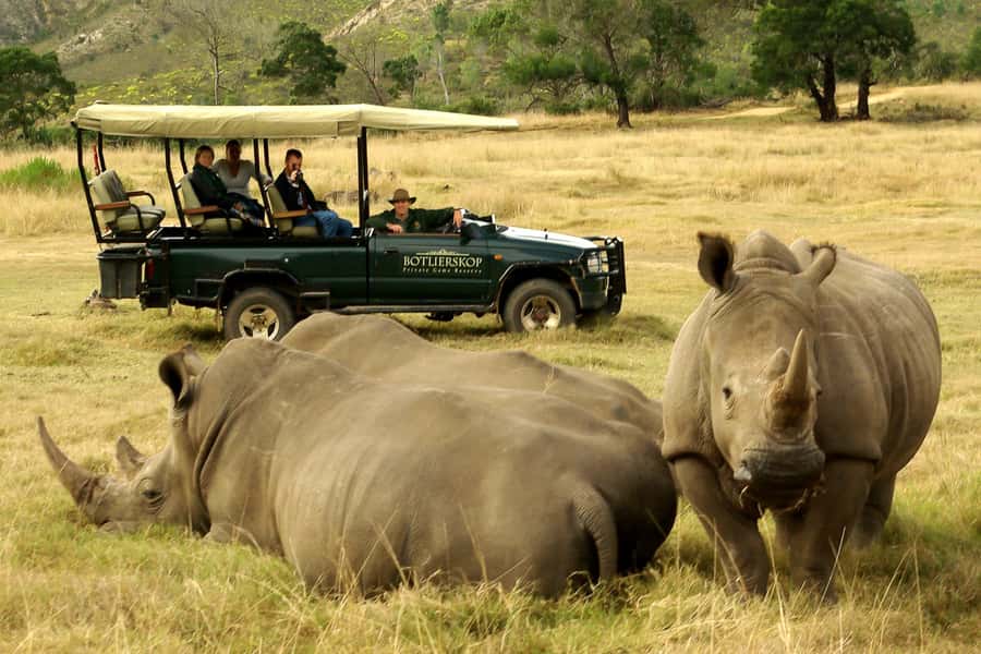 From Cape Town: 3-Day Garden Route Highlights and 4x4 Safari - Cango Caves: choose comfort or a tight squeeze