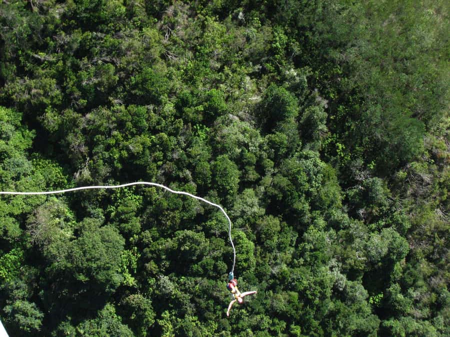 From Cape Town: 3-Day Garden Route Highlights and 4x4 Safari - Botlierskop provides the main safari moment
