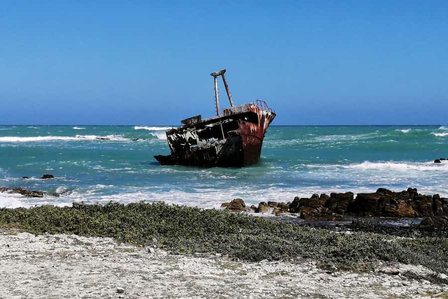 From Cape Town: 3-Day Garden Route Safari and Coastal Tour - Should you book it?