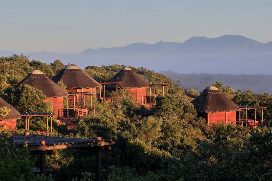 From Cape Town: 3-Day Garden Route Safari and Coastal Tour - Day one: penguins, whales, and the southern tip