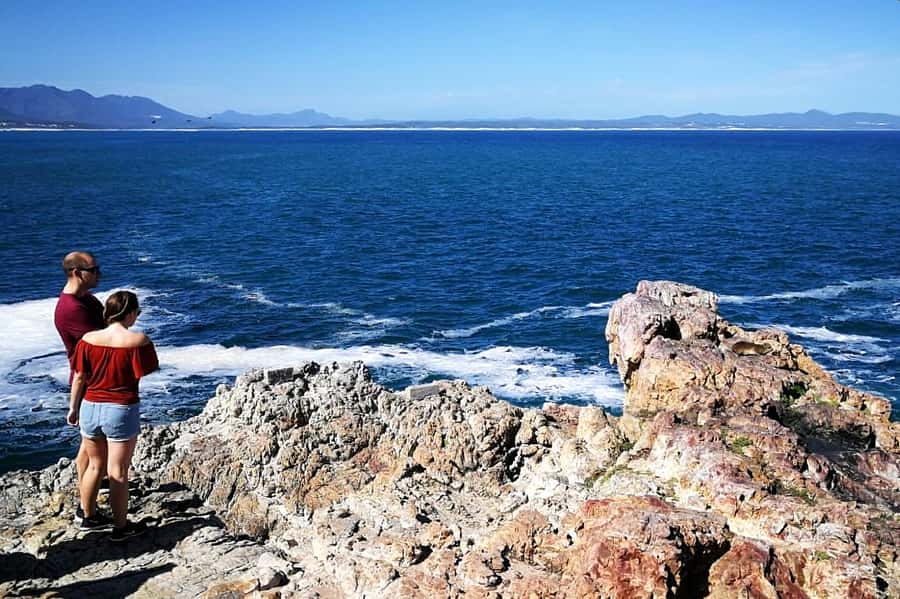 From Cape Town: 3-Day Garden Route Safari and Coastal Tour - The guides can shape the whole trip