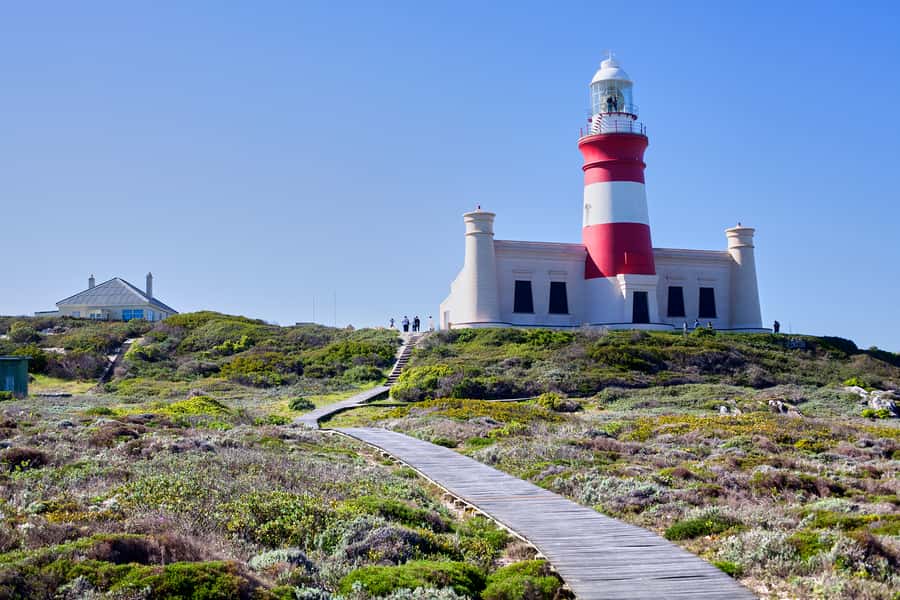 From Cape Town: 3-Day Garden Route Safari and Coastal Tour - How good is the $720 value?