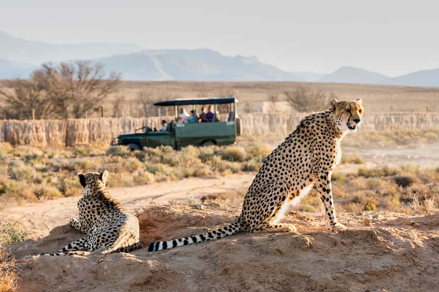 From Cape Town: 3-Day Garden Route Safari and Coastal Tour - What the first night really means