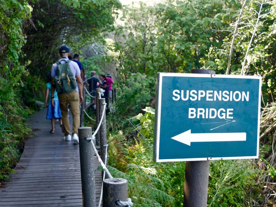 From Cape Town: 5-Day Best of Garden Route and Addo Safari - What this five-day Garden Route tour is really like