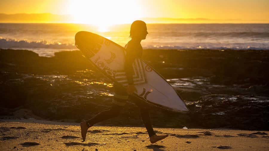 From Cape Town: 5-Day Best of Garden Route and Addo Safari - Day 3: Addo elephants and Jeffreys Bay beaches