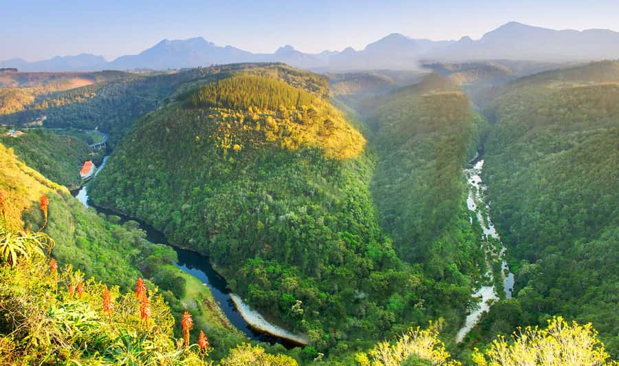 From Cape Town: 5-Day Best of Garden Route and Addo Safari - Day 4: Tsitsikamma, Bloukrans, and Knysna Lagoon