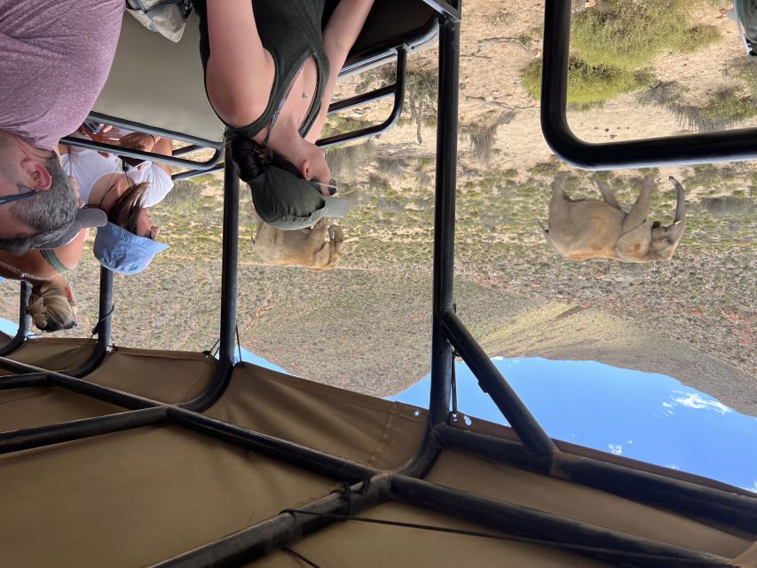 From Cape Town: Big Five Safari Experience with Lunch - What the guides add to the day