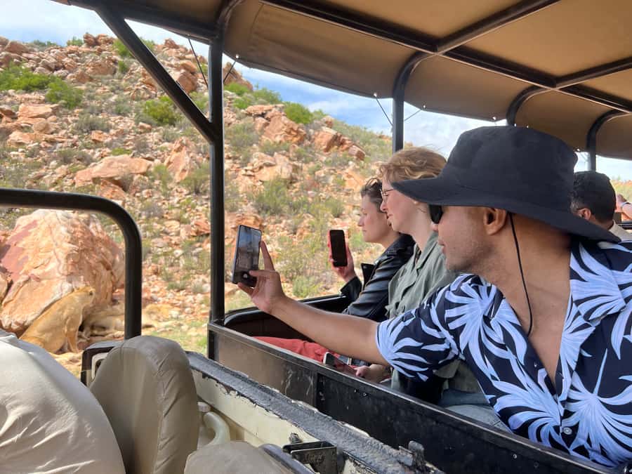 From Cape Town: Big Five Safari Experience with Lunch - Is $137 a fair price?