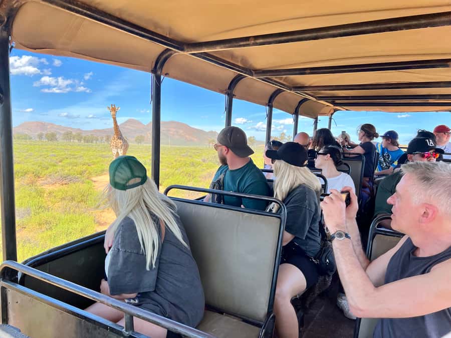 From Cape Town: Big Five Safari Experience with Lunch - What to bring and how to prepare