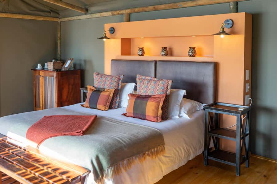 From Cape Town: South African Wildlife and Safari 2-Day Tour - Who should book this two-day safari?