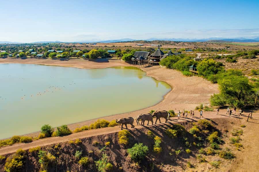 From Cape Town: South African Wildlife and Safari 2-Day Tour - What the $322 price really buys you