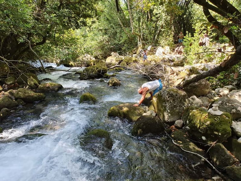 From Cavtat: Konavle Valley Off-Road Jeep Safari with Lunch - Is $100 good value?