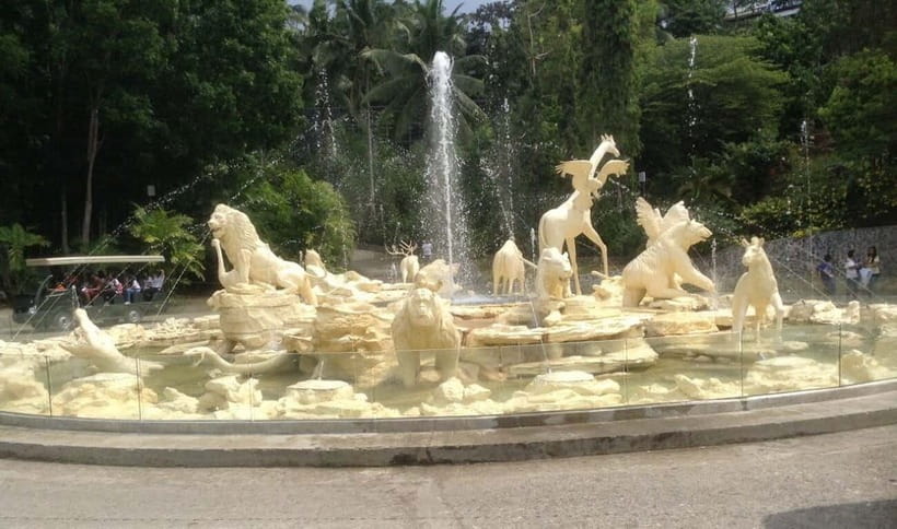 From Cebu City: Cebu Safari and Adventure Park Day Tour - Key Points To Know Before You Go
