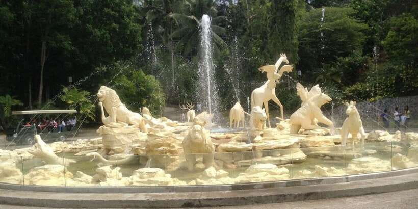 From Cebu City: Cebu Safari and Adventure Park Day Tour - White Lions From France And Germany