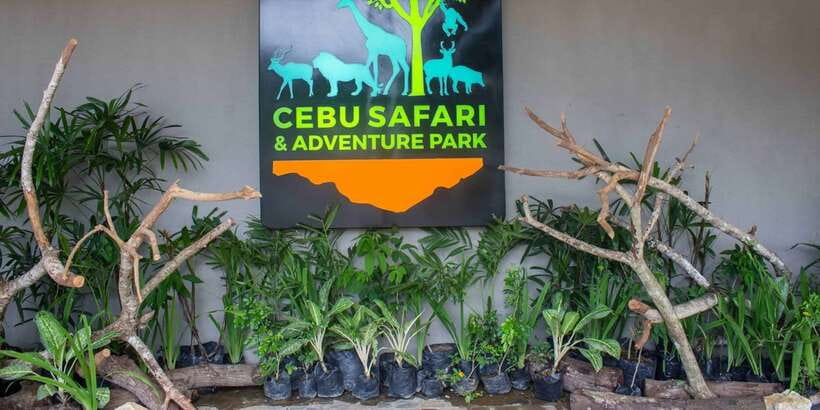 From Cebu City: Cebu Safari and Adventure Park Day Tour - Practical Tips For A Smoother Visit