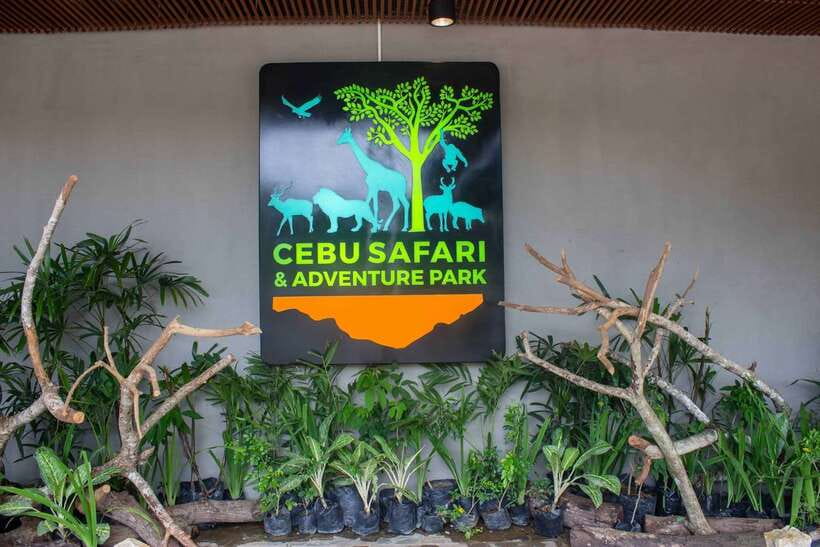 From Cebu City: Cebu Safari and Adventure Park Day Tour - First Impressions Of A 170-Hectare Park