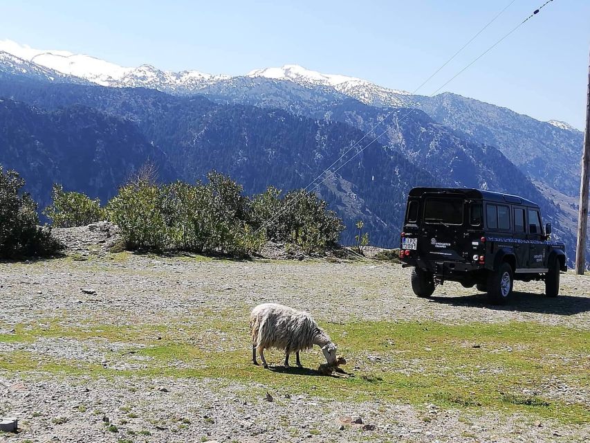 From Chania: White Mountains Land Rover Safari - Key points to know before booking