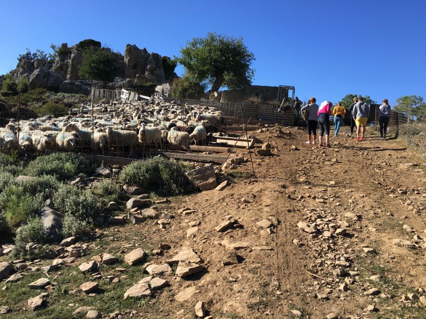From Chania: White Mountains Land Rover Safari - Is $100 a fair price?