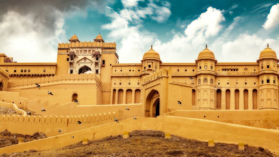 From Delhi: 5-Day Tiger Safari & Golden Triangle Tour - Who will like this tour most