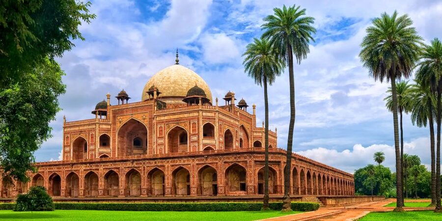 From Delhi: 5-Day Tiger Safari & Golden Triangle Tour - The driver may shape your whole trip