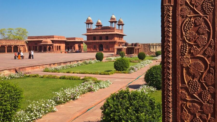 From Delhi: 5-Day Tiger Safari & Golden Triangle Tour - Hotels, meals, and what to confirm