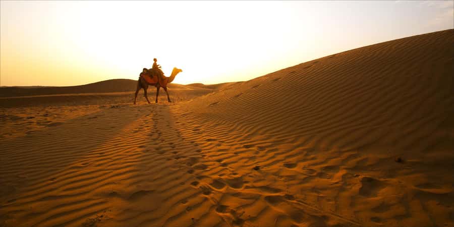 From Doha: 8-hour Safari Tour with Desert Beach Experience - Khor Al Adaid, where sand runs into water