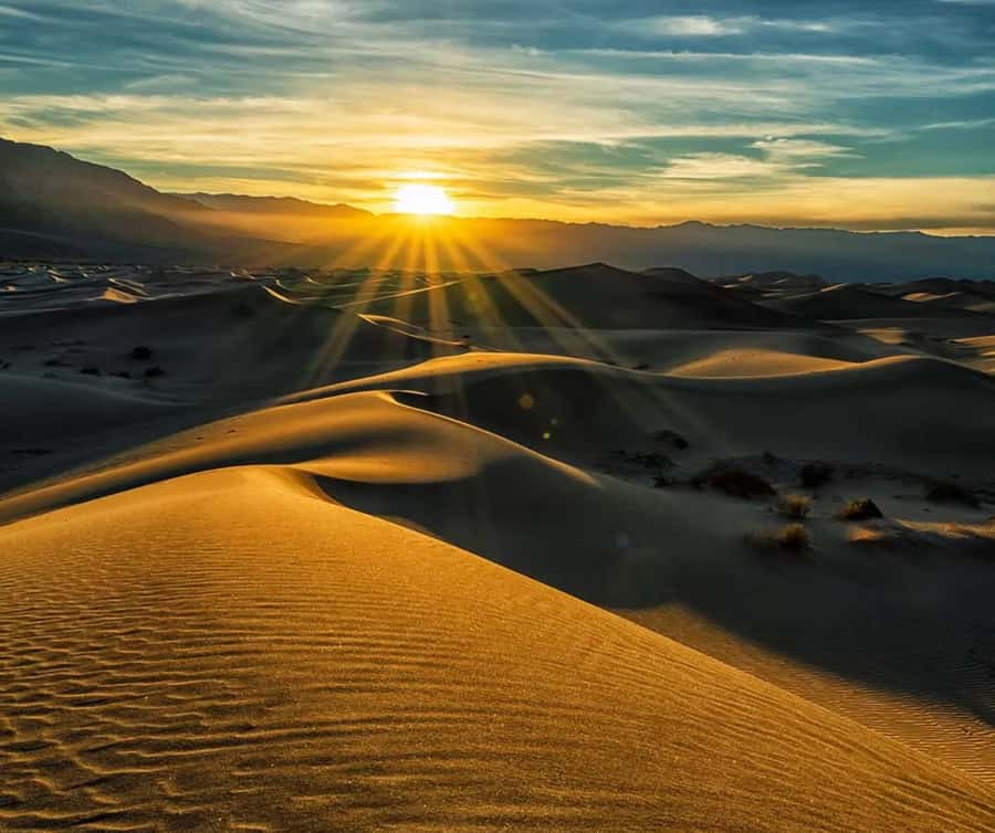 From Doha: Sunrise or Sunset Safari with Sand Boarding - Key points to know before booking