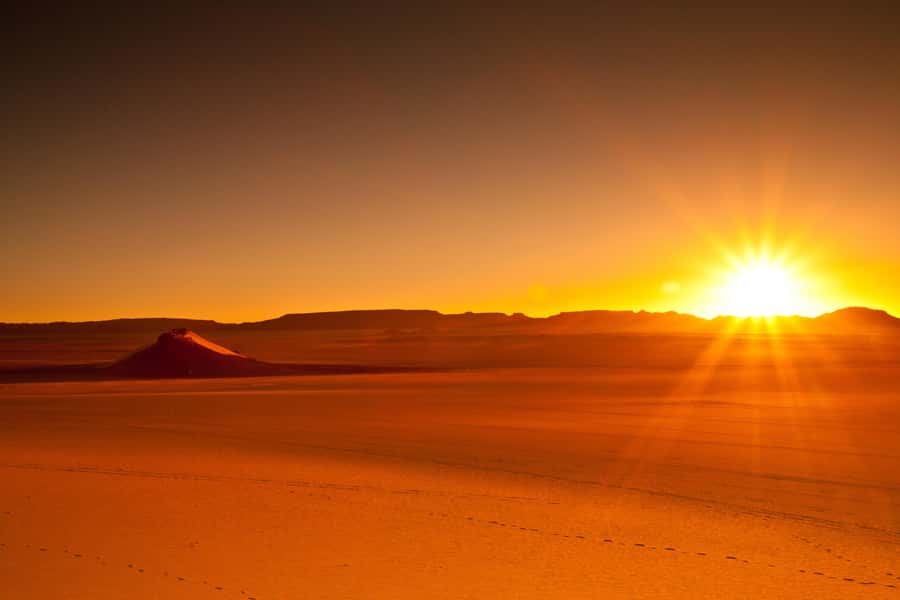From Doha: Sunrise or Sunset Safari with Sand Boarding - Who will enjoy this safari most?