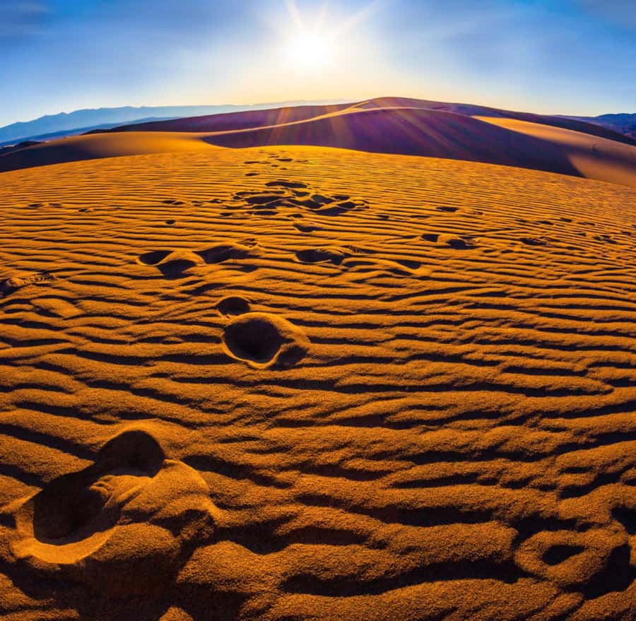 From Doha: Sunrise or Sunset Safari with Sand Boarding - The first desert stop at the camel camp