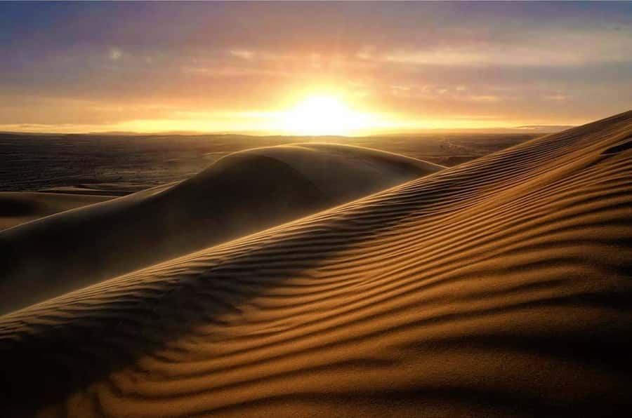 From Doha: Sunrise or Sunset Safari with Sand Boarding - Leaving Doha in an air-conditioned 4x4
