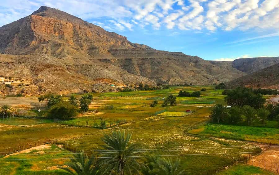 From Dubai: Musandam Khasab Tour with Boat Trip and Safari - Lunch in Khasab, with realistic expectations