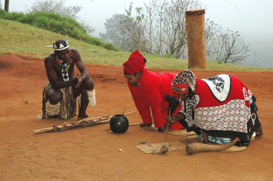 From Durban: Safari & PheZulu Village Day Tour - Who should book this day tour?