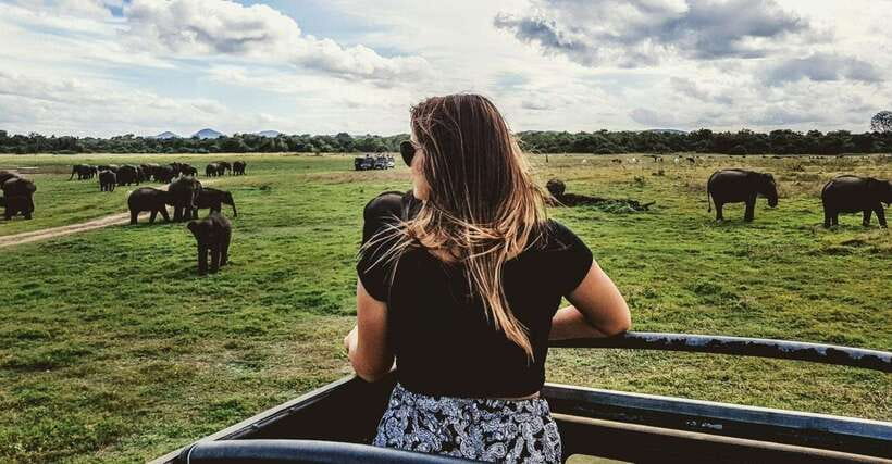 From Ella: Udawalawa Safari and Tangalle/Hiriketiya Transfer - What you are likely to see in the park