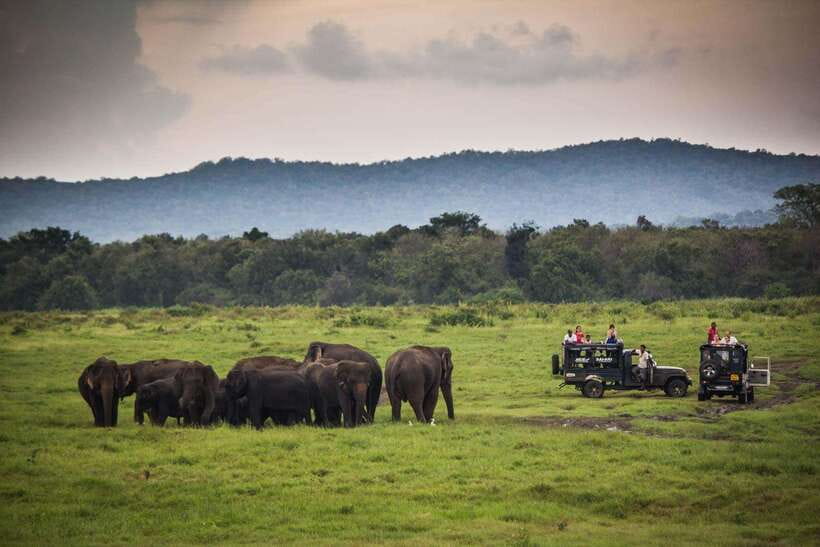From Ella: Udawalawa Safari and Tangalle/Hiriketiya Transfer - What the $48 price really covers