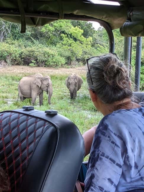 From Ella : Udawalawa Safari & Drop Tangalle/ Mirissa/ Galle - What the guides do well