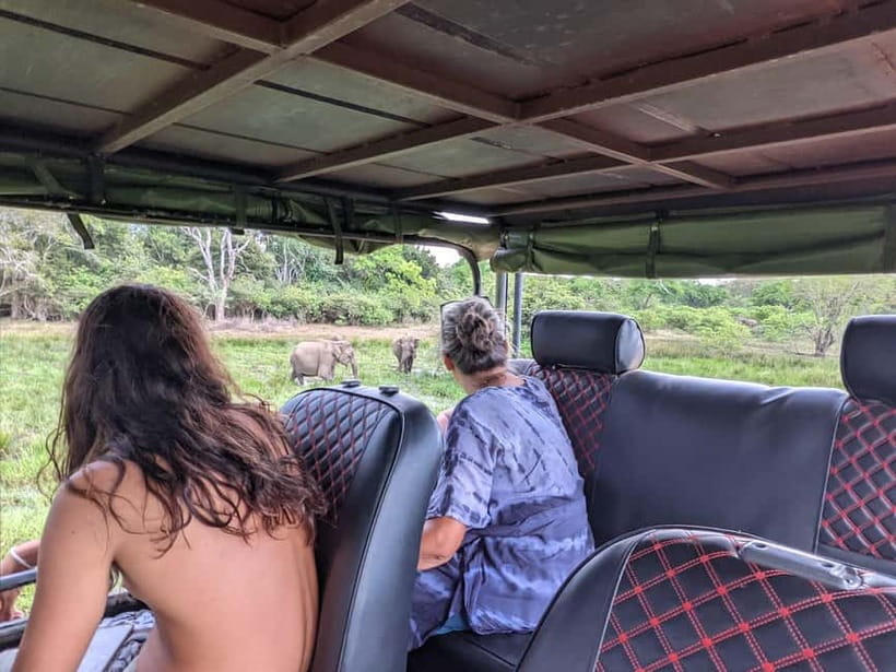 From Ella : Udawalawa Safari & Drop Tangalle/ Mirissa/ Galle - The real comfort level