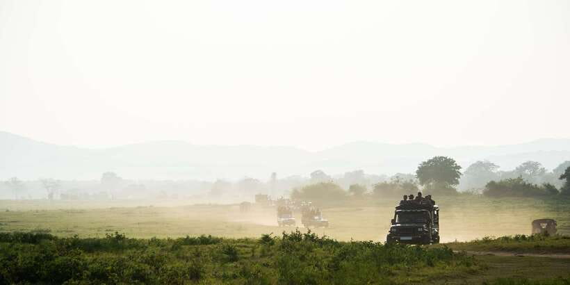 From Ella: Udawalawe Safari with Elephant Transit Home Visit - Booking advice for a smoother day