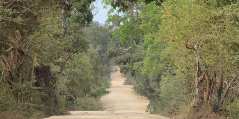 From: Ella - YALA Safari - Drop off: Arugam Bay / Arugambay - Comfort, safety, and who should skip it