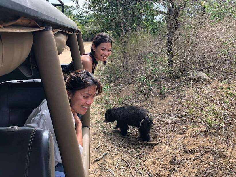 From Ella: Yala Safari Tour with Drop at Tangalle/Hiriketiya - Entering Yala National Park in a 4x4 jeep