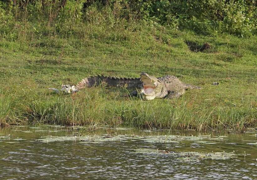 From Ella: Yala Safari Tour with Drop at Tangalle/Hiriketiya - The road from Ella and the first two hours